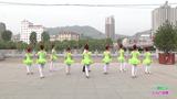 陕西田益珍丹凤舞蹈培训中心广场舞  一曲红尘  团队表演版