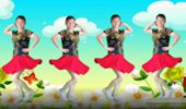 黄秋萍广场舞《野花香》时尚动感流行32步步子舞 演示和分解动作教学