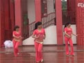 达州凤凰姊妹广场舞 印度藏歌
