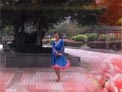 达州凤凰姊妹广场舞 北京的金山上 正背面演示