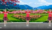 鄂州筱静广场舞《桃花运》动感健身舞16步 演示和分解动作教学