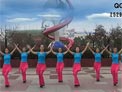 怀宁文化广场舞 美丽姑娘花一样 含背面分解动作及背面演示