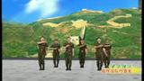杨艺广场舞 咱当兵的人 团队队形表演版