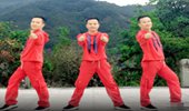 武阿哥广场舞《兄弟赞一个》大众减肥瘦身健身操 演示和分解动作教学