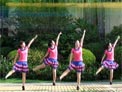 舞在深圳湾原创广场舞 唱首情歌给你听 附背面演示