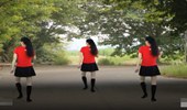 汕头燕子广场舞《小花》动感活力 演示和分解动作教学 编舞汕头燕子
