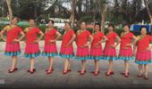 三亚迎宾广场舞《野花香》演示和分解动作教学 编舞韩明