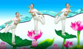 甘肃天水金芳广场舞《爱上一朵花》原创32步弹跳 演示和分解动作教学