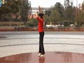 北京雪莲广场舞 致青春