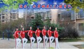 水岸桃花LiLi健身队广场舞《远走高飞》自由舞32步 演示和分解动作教学