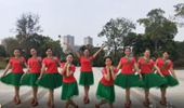 陆川叶青广场舞《卓玛泉》简单藏族风32步 演示和分解动作教学 编舞叶青