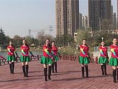 安徽绿茶飞舞广场舞 爱疯了 正背表演与动作分解