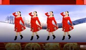 雪妹舞翩翩广场舞《财神嫁到》喜庆新年舞蹈 演示和分解动作教学