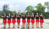 陆川叶青广场舞《雷山我的爱》简单双人对跳 演示和分解动作教学 编舞叶青
