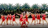 湛江红苹果广场舞《唱一首情歌》演示和分解动作教学 编舞红苹果