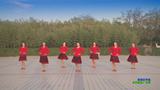 陕西华州小丫舞团百合广场舞 暖暖的幸福 表演
