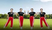 广州太和珍姐广场舞《山一样的男人》活力健身操 演示和分解动作教学