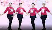 林州芳心广场舞《甜甜甜》64步大众健身舞 演示和分解动作教学 编舞林州芳心