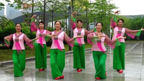 深圳山茶广场舞《泛水荷塘》演示和分解动作教学 编舞山茶