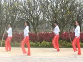 颜儿广场舞 最美的中国 附教学