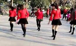 温州燕子广场舞  爱的部落