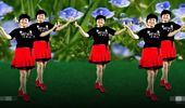 福建彩虹健身队广场舞《兰花草》节奏欢快好看 演示和分解动作教学