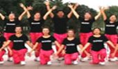 凤凰六哥广场舞《天美地美中国美》演示和分解动作教学 编舞六哥