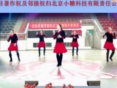 艺高高原创广场舞 中国有个习大大 团队演示