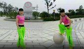 谷城元琴广场舞《野花香》40步扭胯网红歌曲 演示和分解动作教学