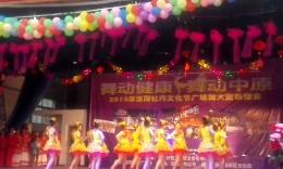洛阳菲菲广场舞舞动中国