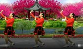 信阳阿琴广场舞《你像三月桃花开》网红抒情舞蹈 演示和分解动作教学