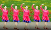 大自然广场舞《黄玫瑰》中三 演示和分解动作教学 编舞大自然
