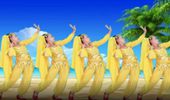 美丽传奇广场舞《印度新娘》印度舞 演示和分解动作教学 编舞美丽传奇
