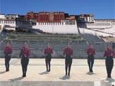 合肥果果原创广场舞 西藏情歌 正背表演与动作分解