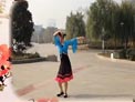安庆艳丽广场舞 中国字画