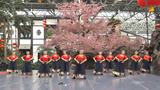 北京灵子舞蹈队 姑娘仁增卓玛   正面动作表演版与动作分解  团队版