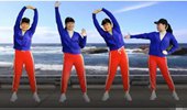化州花开朵朵广场舞《踏浪》健身操 演示和分解动作教学
