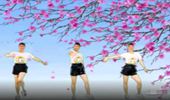 化州花开朵朵广场舞《听心》32步 演示和分解动作教学 编舞花开朵朵