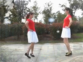 江南雨广场舞《亲爱的你在哪里》两人对跳
