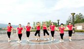 燕语芳菲广场舞《时代节拍》演示和分解动作教学 编舞红叶