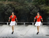 西门香香广场舞 对不起现在我才爱上你 17步弹跳