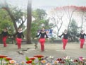 2014年最新广场舞 别样玫瑰-张冬玲 正背面演示和分解教学 大湾群联广场舞
