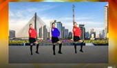 丽丽广场舞《别知己》火爆网红64步舞蹈 演示和分解动作教学 编舞丽丽