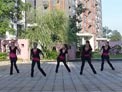 长沙中信舞蹈队广场舞 摆手舞