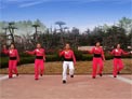 舞动旋律2007原创健身队 鸭梨大 附分解教学和背面演示