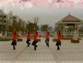 青馨明月广场舞 想西藏