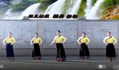杨杨广场舞《帕里姑娘》演示和分解动作教学 编舞杨杨