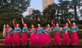 美久广场舞《拉萨夜雨》藏族风格美轮美奂 演示和分解动作教学 编舞美久
