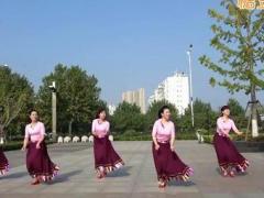 沭河之光广场舞《吉祥》藏族健身舞 背面演示及分解教学 编舞沭河清秋