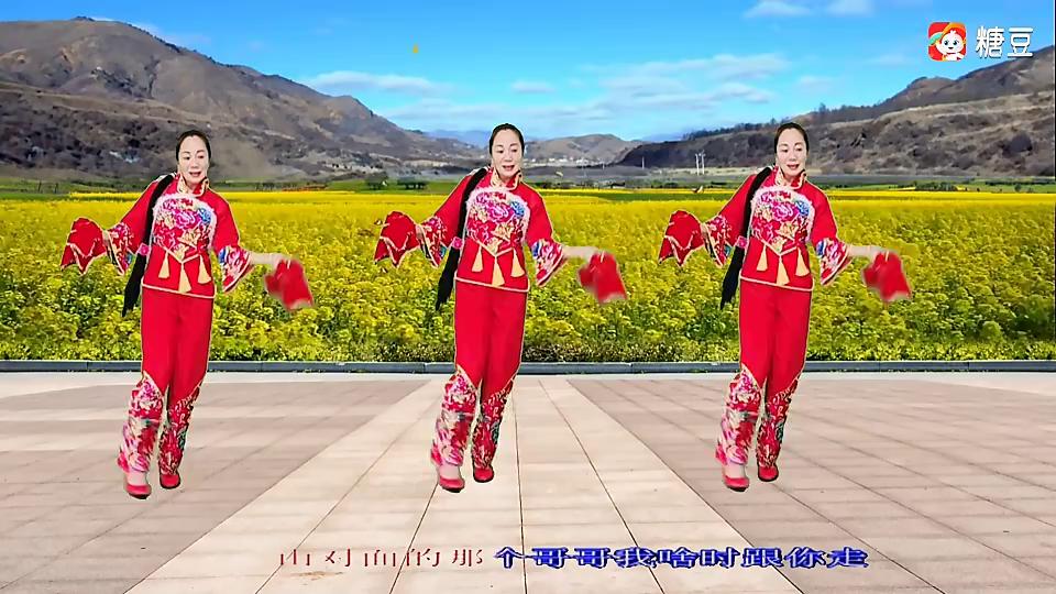 木樨花蝶燕广场舞《红红的高粱火火的情》一只简单的陕北民歌手绢舞